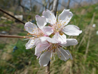 P1300061.webp