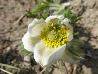 P1300035.webp