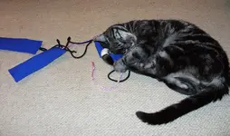 Minka.webp