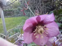 CAM00069.webp
