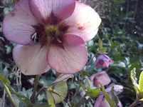 CAM00057.webp