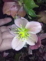 CAM00107.webp