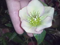 CAM00105.webp