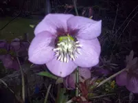 CAM00103 (2).webp