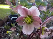 CAM00061.webp