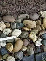 DSCN1447.webp