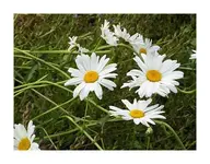 084.webp