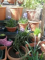 Frühling 2015.webp