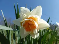 P1300302.webp