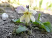 P1300274.webp