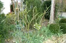 DSCF2623.webp