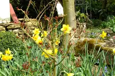 DSCF2630.webp