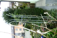 DSCF2617.webp
