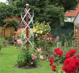 Obelisk.webp