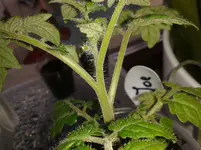 20150328_143552.webp
