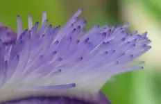 Märzrätsel.webp
