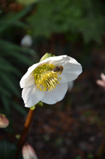 DSC_3920.webp