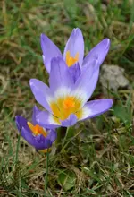 DSC_3927.webp