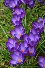 DSC_3928.webp