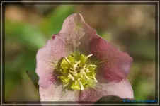 comp_DSC02934.webp