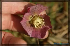 comp_DSC02936.webp