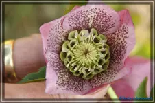 comp_DSC02938.webp