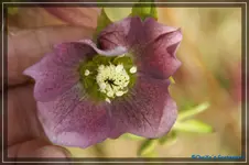 comp_DSC02939.webp