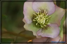 comp_DSC02940.webp