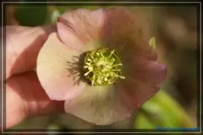 comp_DSC02943.webp