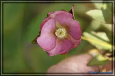 comp_DSC02944.webp