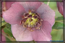 comp_DSC02945.webp