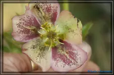 comp_DSC02947.webp