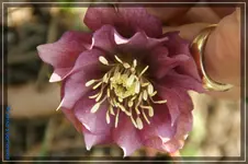 comp_DSC02950.webp