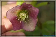 comp_DSC02951.webp