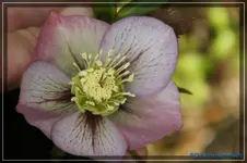 comp_DSC02955.webp