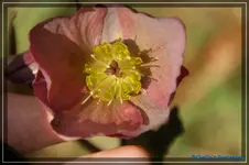 comp_DSC02958.webp