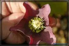 comp_DSC02959.webp