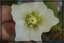 comp_DSC02960.webp