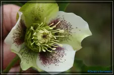 comp_DSC02961.webp