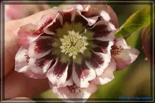 comp_DSC02964.webp