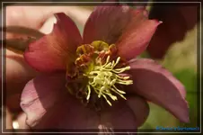 comp_DSC02965.webp