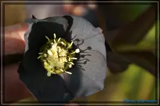 comp_DSC02967.webp