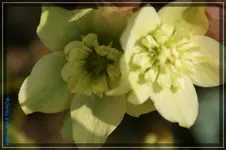 comp_DSC02968.webp