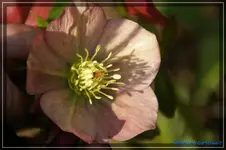 comp_DSC02969.webp