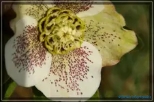comp_DSC02970.webp