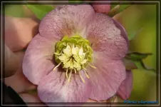 comp_DSC02971.webp