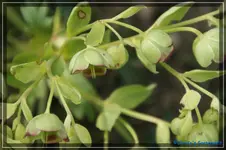comp_DSC02974.webp