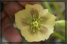 comp_DSC02975.webp