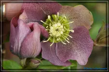 comp_DSC02978.webp