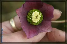 comp_DSC02979.webp